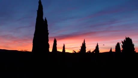 Solstice headquarters at sunset